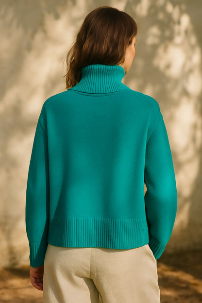 ambrine cashmere turtleneck sweater